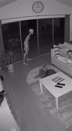 😱 Dog Alerts Sleeping Family To Alien Entering Home #shorts #viral #viralvideo