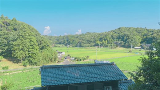 夏って暑いしうるさいのに、イメージでは涼しくて優しい感じなんだよね。 #日本の風景 #田舎の風景 #田舎 #日本 #japan