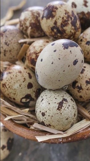 14 best foods to increase Libido and performance at the right time: for men and women: