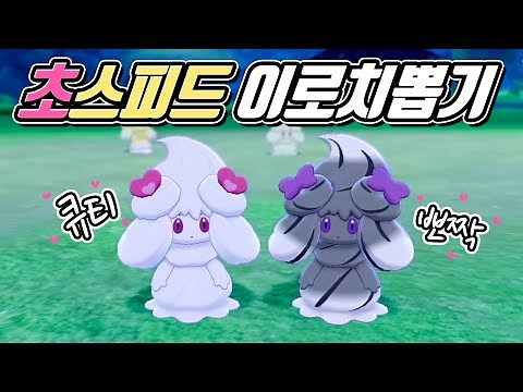 소장가치 200% 귀엽고 짱 쎈 이로치 마휘핑 진화 모음 💜 포켓몬 소드실드 이벤트