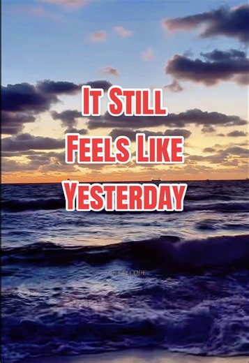 When they’re gone, it can feel like part of your timeline disappeared with them. That’s why grief can feel so confusing. Your mind understands time passed… but your heart still feels their absence every single day. If you’ve ever felt stuck between memories and reality after loss, you’re not alone. 🤍 Save this for the moments grief feels impossible to explain. #grief #griefjourney #siblingloss #griefsupport #youarenotalone