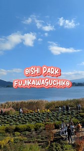 CUACA INDAH DI OISHI PARK, FUJI! #travel #japan #jepun #oishipark #fuji | JomJapan.com | Facebook