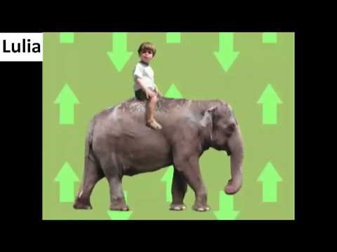 Elmo's World 👀 Up and Down 👀 Part 2