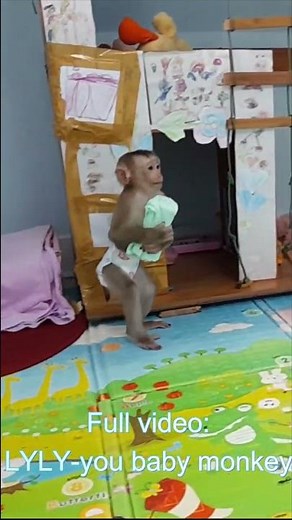 so smart! Baby monkey Lyly takes her own towel to sunbathe