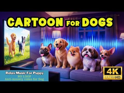 Dog Cartoon: Funny Entertainment for Dogs When Home Alone 🐾 Best Cartoons for Dogs to watch ✨✨