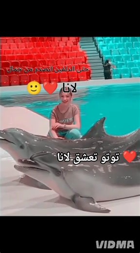 حبيتو او لا ❤ #تصميمي #لايك #ايقنت #ترند #اكسبلور