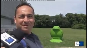 12K views · 151 reactions | Cracking Art e la Reggia di Caserta su Tgr Rai Campania! | Cracking Art | Facebook