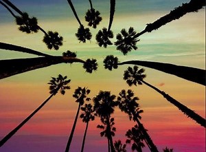 From Rain to Extreme Heat, Wild Weather in Store for Westwood-Century City