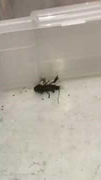 What do you want? You want some money?