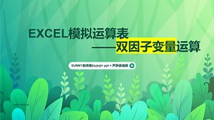 EXCEL模拟运算表——双因子变量运算