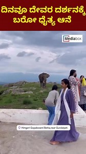 1.6M views · 46K reactions | ದಿನವೂ ದೇವರ ದರ್ಶನಕ್ಕೆ ಬರೋ ಧೈತ್ಯ ಆನೆ #MediaBox #MediaBoxKannada #Viral #Temple #Elephant #Ganesha #HimvadGopalswamy #Karntaka #God #BigElephant #Miracle #magic #Godness | Media Box kannada | Facebook