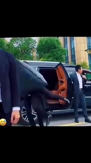 17K views · 124 reactions | These bodyguards redefine security by trusting their boss's survival instincts, acting only after his visit to the villain's lair. True innovators deserving top honors in guarding! | Henry Kibiwott Chebii | Facebook