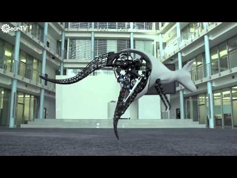 Awesome Robots Inspired By Animals
