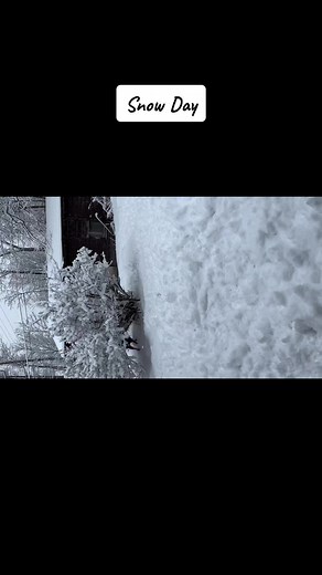 Jack Napier Photography (@jacknapier0316)’s videos with original sound - Jack Napier Photography