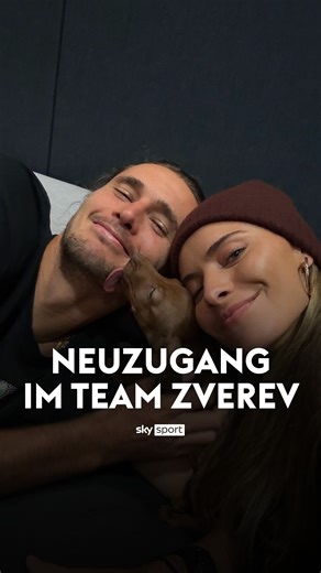 Sky Sport DE on Instagram: "Tierischer Zuwachs für Alexander Zverev und seine Partnerin Sophia Thomalla. 🐶 Mishka heißt der neue Freund des deutschen Tennis-Stars. Ein Geschenk an seine Freundin Sophia. 🥹 #SkyTennis #Zverev #ATPWien #Hund #Dackel #Tennis"