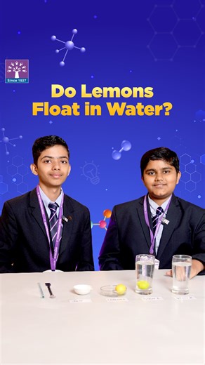 1.1M views · 9.7K reactions | Science is full of surprises! Watch as our young Podarites explore the concept of density with a simple yet fascinating experiment using just water, salt, and a lemon. Will it sink or float? Try it yourself and discover the science behind it! #Podar #PodarInternationalSchool #PodarSchool #Podarites #PodarScience #FunWithScience #HandsOnLearning #STEMEducation | Podar Group of Schools | Facebook