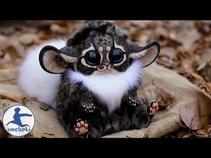 Top 10 Cutest Animals Found in Africa