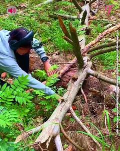 Una mujer descubre joyas ocultas con paciencia y un detector de metales. | Fabiosa México