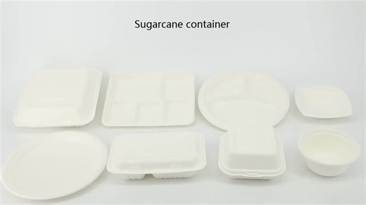 Eco-friendly Degradable Popular Bagasse Sugarcane Fiber Bowl Disposable Takeaway Food Containers