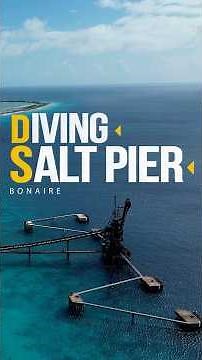 Diving the Salt Pier in Bonaire