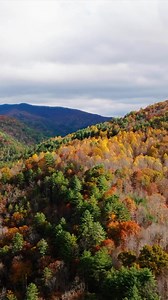 Did you know? Cherokee County, NC is an ideal spot for fall foliage, offering access to scenic views across North Carolina, Georgia, and Tennessee. The region features several top lookout points perfect for taking in autumn’s vibrant colors. Brasstown Bald (GA): Georgia’s highest peak, just south of the county, has an observation deck with panoramic views into four states. The fall vistas are especially stunning. Buck Bald Mountain (TN): A short drive from Murphy, this open summit offers unobstr