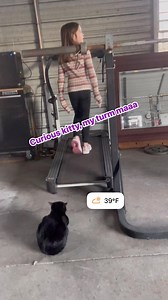 #curious kitty 🐈‍⬛ | Tita Son Corriveau
