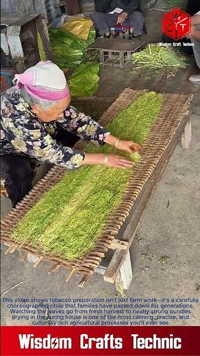 From Harvest to Hanger: Traditional Tobacco Leaf Prepping in Rural China