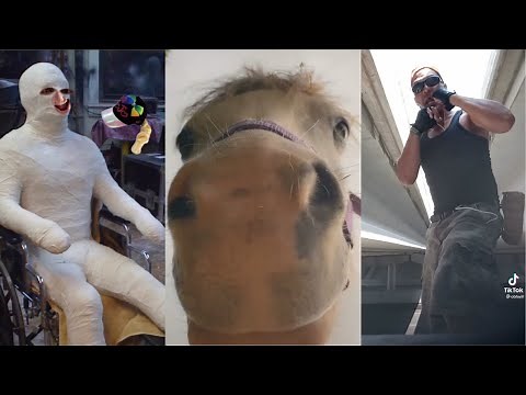 Funny TIkToks That Made Me Pee My Pants Laughing 😂