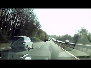 WARNING: dash cam captures video of dog being run over