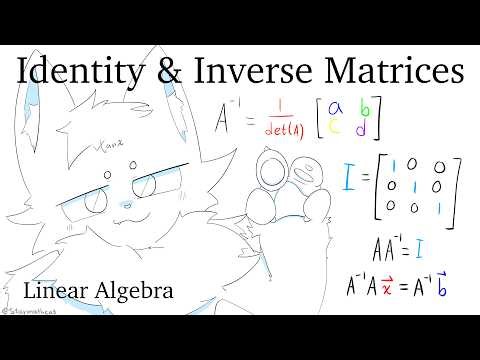 Furry teaches you Identity and Inverse Matrices - Linear Algebra