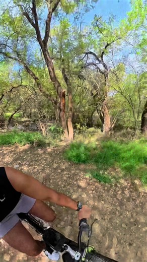 Raymond Morales on TikTok