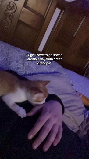 🃏🪶Btfams$🃏🪶 (@btfarms8)’s videos with original sound - Chewy6.7