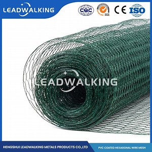 [Hot Item] Leadwalking Copper Wire Material PVC Coated Chicken Wire Mesh Sizes Factory China 3/4 Inch Mesh Galvanized Hex Netting