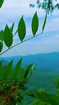 Nature’s Best Kept Secrets