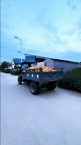 Shandong Farmer Vehicle Manufacturer | Farm Vehicle Transporting Corn 🌽🚜#farmvehicles #viralshorts