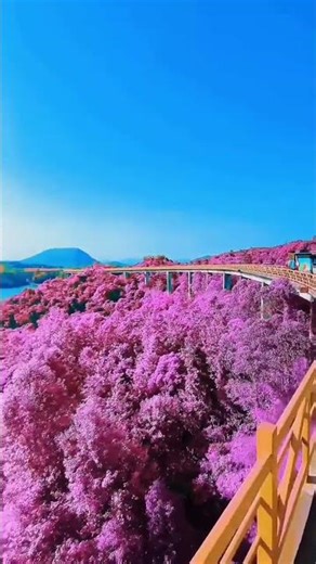 Amazing 3D art interaxt with nature visuals4