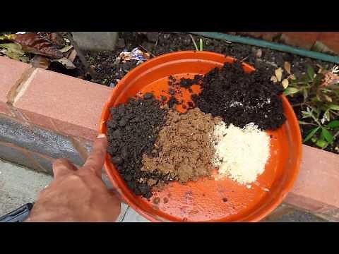 How to mix Topsoil, Compost Sharp Sand and Sawdust ratios