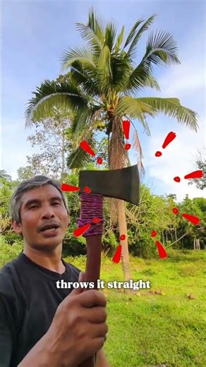 Is this person human or alien?