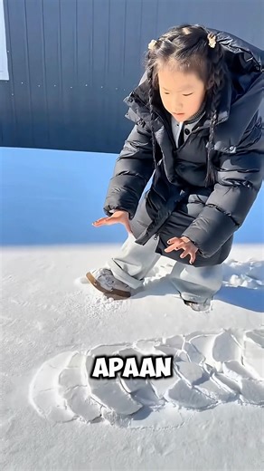 Kaget Banget Liat Sesuatu Gerak di Bawah Tanah, Dikira Pesawat Alien Ternyata Cuma Kena Prank!