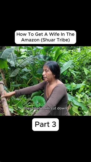 How To Get A Wife In The Amazon (Shuar Tribe) - Part 3 #papuanewguinea #pngtiktok #indigenoustiktok #solotravel