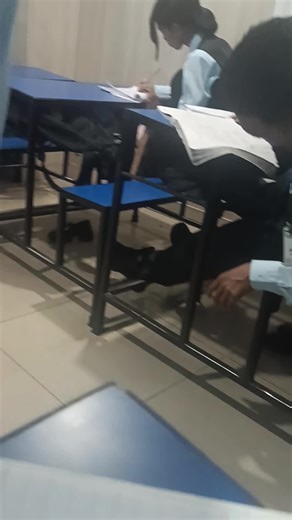 #funny #juttachor #laughing #trendingnow #cchmchitwan