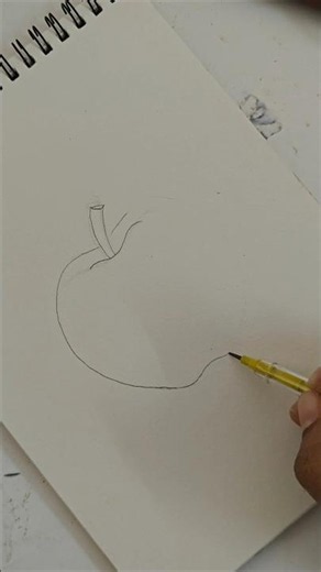 how to draw an apple l easy apple drawing #tutorial #drawingtutorial #appledrawing