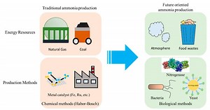 近未来テクノロジー見聞録(40) 歴史を変える!?　生物学的アプローチでアンモニアを生産！