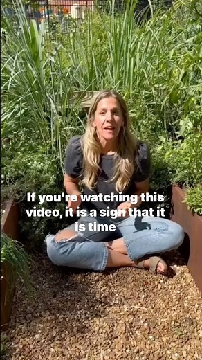 17K views · 144 reactions | No more excuses okay!!?  Oregano is something all of us can grow-it’s at least one thing you’ll never have to buy from the store again even if all you have a is a small porch or patio to grow on. Learn to grow oregano and all the other herbs in my new book Leaves Roots and Fruit. Comment NEW BOOK and I’ll send you a dm with the link on how to get your copy.  #herbgarden #oregano #herbs #leavesrootsandfruit | Gardenary | Facebook