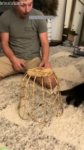 Funny Cats 2025 😼 Cat videos Compilation 🐈‍⬛ # Episode 7605