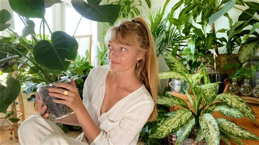 Your plant questions answered