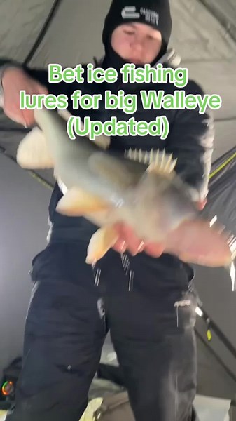 #fishing #icefishing #walleye #greenback #greenbacks #fishtok #fishingtiktok #fishingtiktoks #fyp #bigwalleye