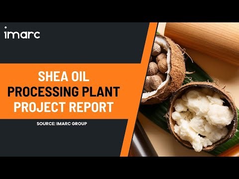 How to Start a Shea Oil Processing Plant: Project Cost Analysis