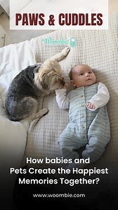 1.8K views · 19 reactions | Pets and babies share a unique bond that...