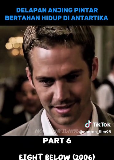 Eight Below: Heartwarming Film Summary and Analysis